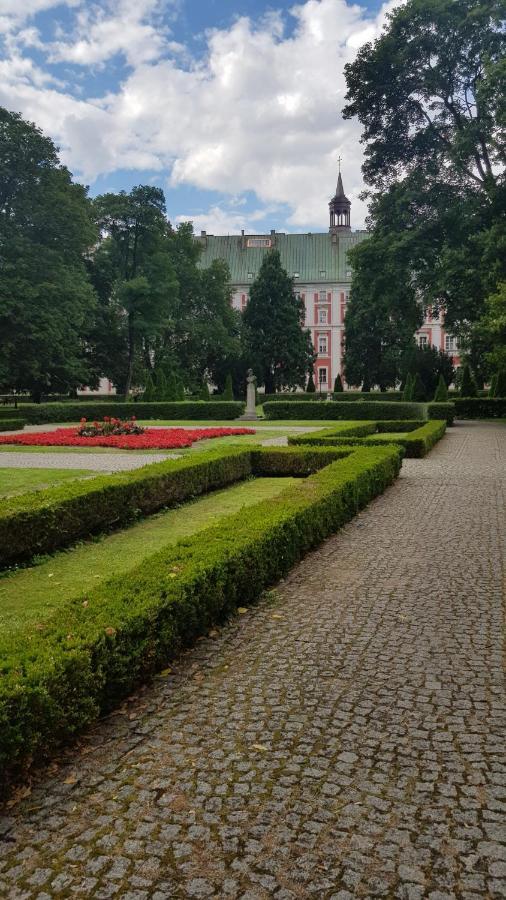 Chopin Park Lux Apartment, Self Check-In 24H, Free Parking, Air-Conditioning Poznan Luaran gambar