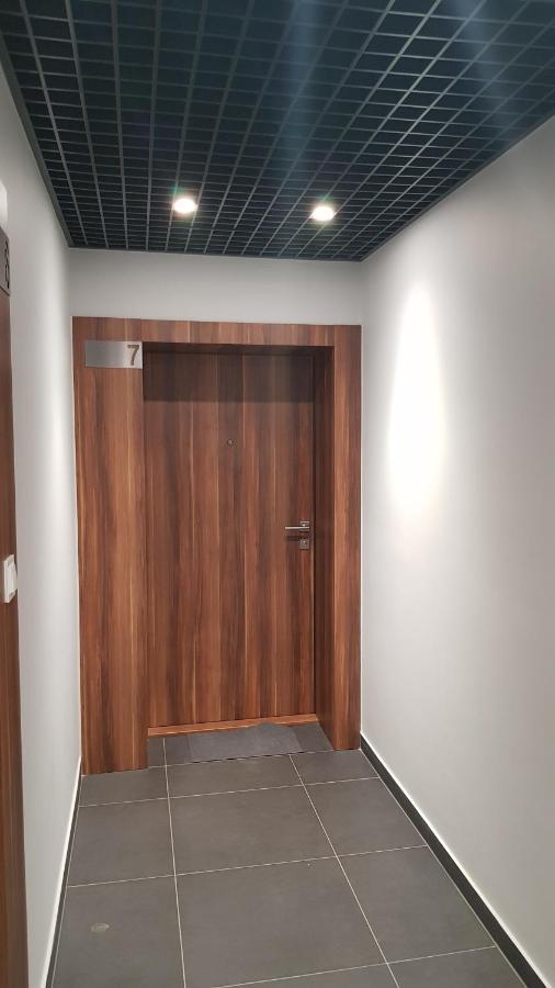 Chopin Park Lux Apartment, Self Check-In 24H, Free Parking, Air-Conditioning Poznan Luaran gambar